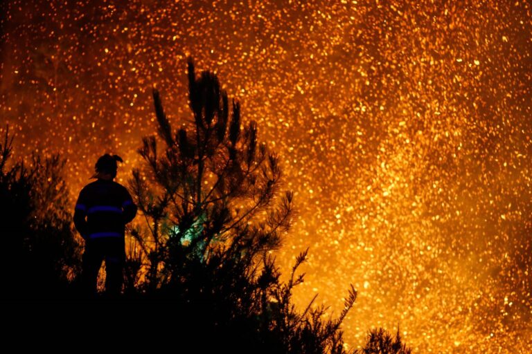 Rural.- Eurodiputados españoles cruzan acusaciones en la Eurocámara por la gestión de los incendios