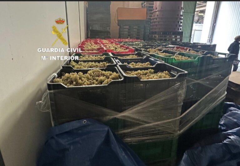 Incautan en Salvaterra de Miño (Pontevedra) 6.000 kilos de uva sin documentación y procedentes de Portugal