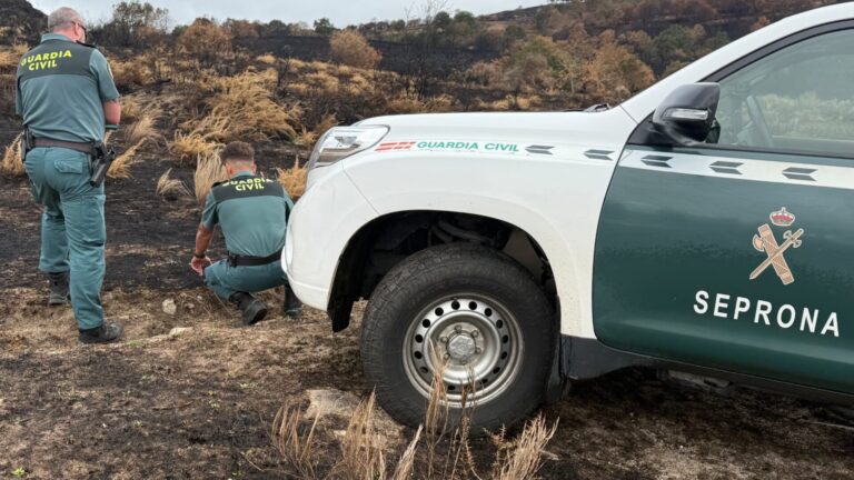Rural.- Investigado un octogenario por el incendio de Chandrexa de Queixa del lunes, que quemó 18,5 hectáreas