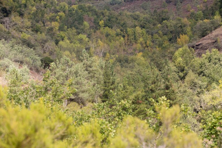 El otoño será en Galicia «más cálido y más seco de lo normal», según la Aemet