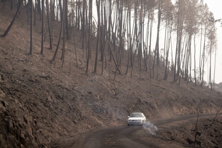 Rural.- Extinguido el incendio de O Bolo (Ourense) tras quemar 273 hectáreas y declarado uno en la Serra do Xurés