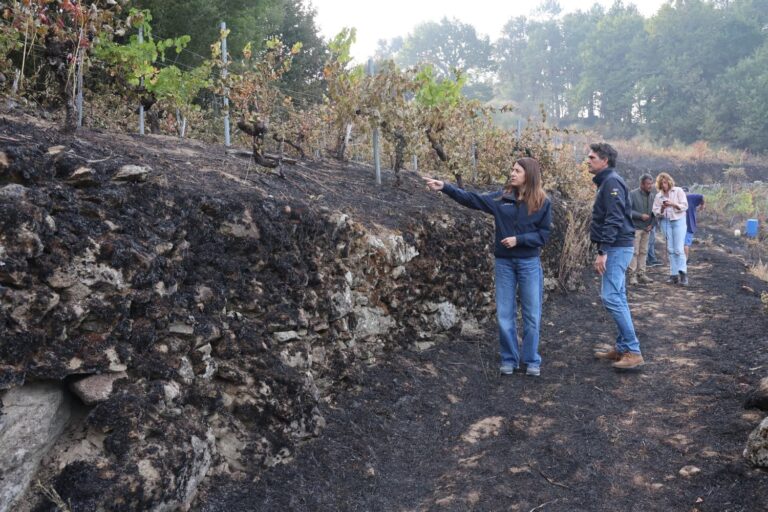Rural.- El incendio forestal de Pantón (Lugo) tiene el punto «más conflictivo» en la zona del cañón del Sil