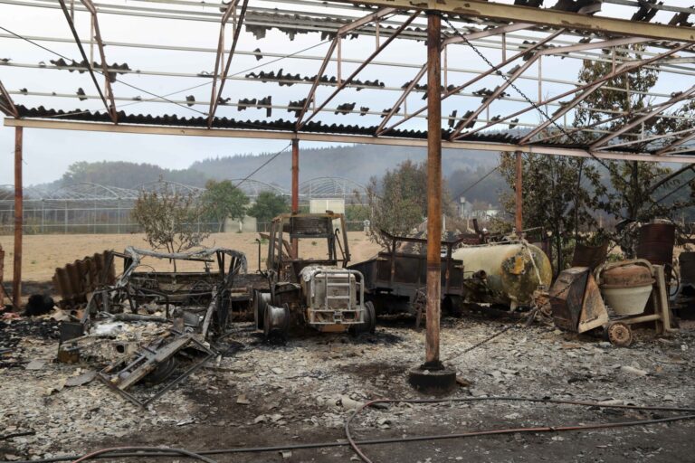 Rural.- El Sindicato Labrego pide a la Xunta que amplíe el plazo de las ayudas por los incendios tras el fuego de Pantón