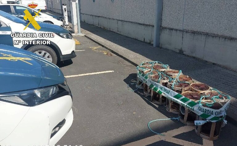 Investigan a dos personas por robar 12 nasas de pesca en el muelle de Oza, en A Coruña