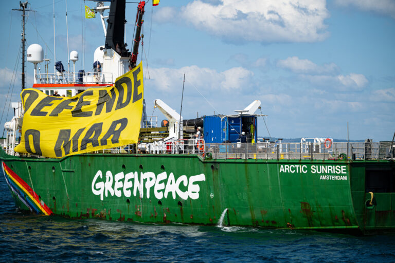 Greenpeace pide a la Xunta que no autorice el proyecto de Altri si el Gobierno confirma el rechazo a la subestación