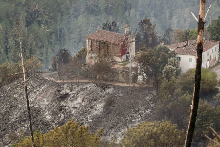 El PP veta investigar la ola de incendios de más 100.000 hectáreas arrasadas