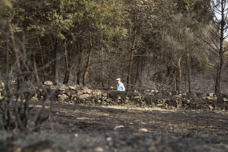 Unións Agrarias demanda a la Xunta que amplíe el plazo de solicitudes de ayudas por incendios