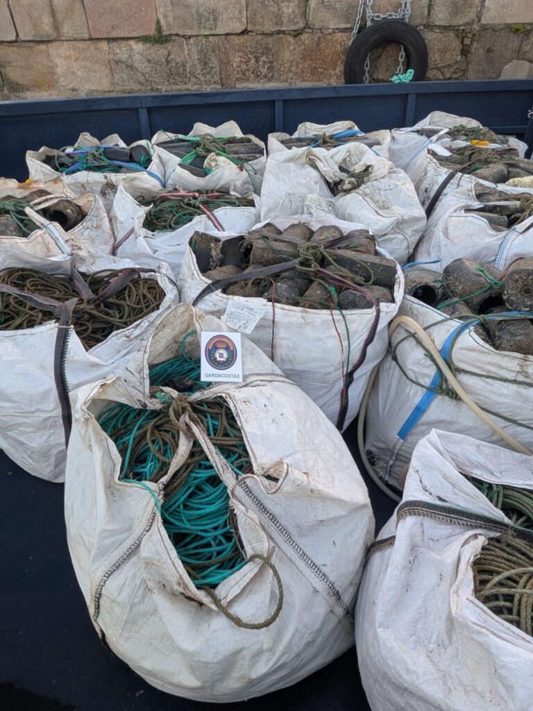 Decomisados casi 200 kilos de pulpo en la última semana en A Guarda (Pontevedra)