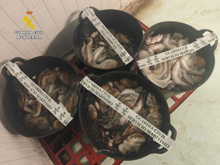 Pesca.- Incautan 104 kilos de pulpo en Lorbé (A Coruña) cuando eran trasladados desde un pesquero a un camión