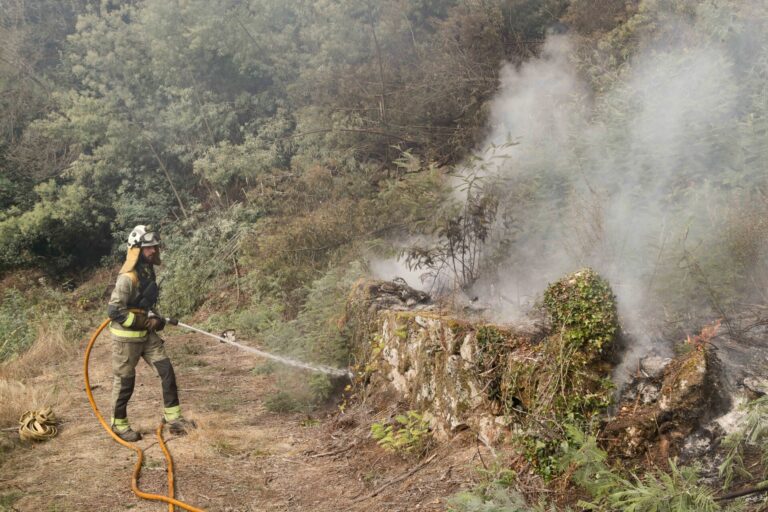 La Xunta amplía el plazo para pedir las ayudas por los incendios hasta el 30 de octubre
