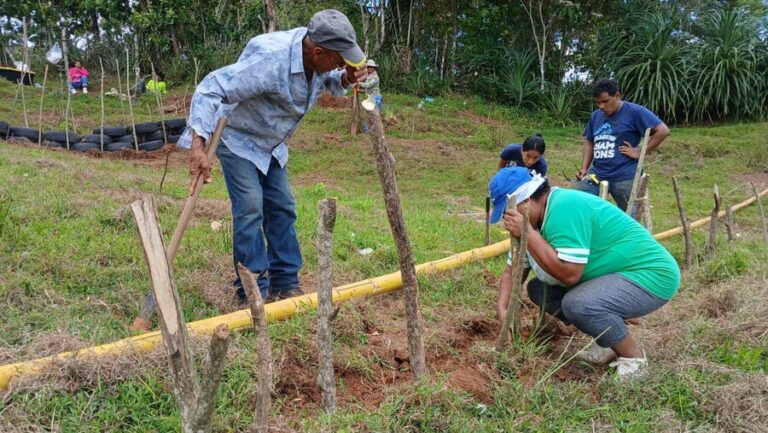 La USC participa en un proyecto internacional para restaurar suelos degradados en Panamá