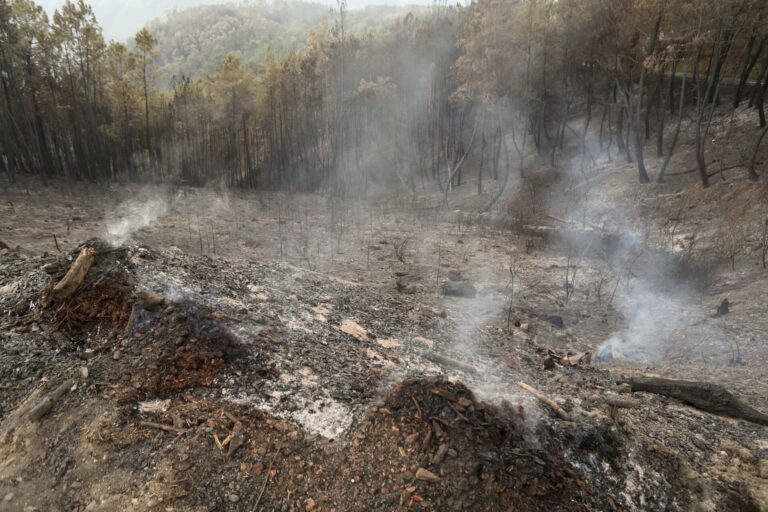 Extinguido el incendio forestal de Pantón (Lugo) tras calcinar 1.805 hectáreas