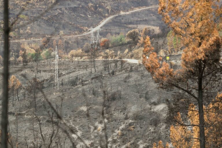 La circulación de trenes entre Lugo y Ourense reabre este viernes tras repararse los daños causados por un incendio