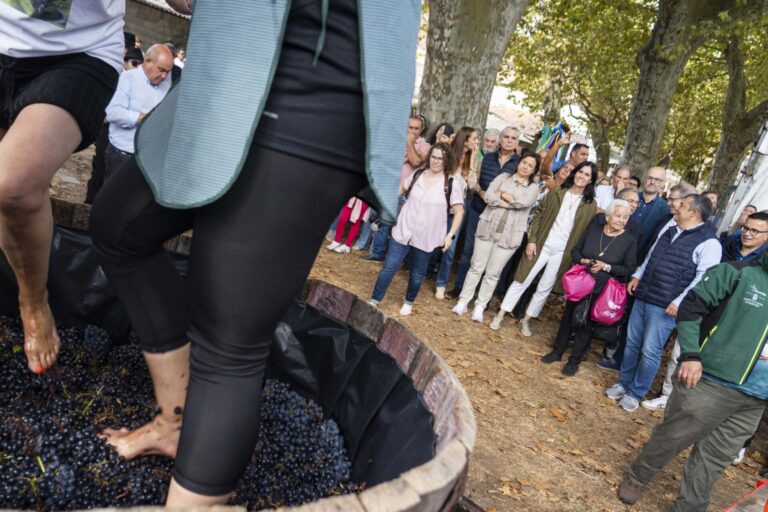 El PPdeG denuncia que Sánchez «lleva más de 1.000 días sin aprobar Presupuestos» y afea la «parálisis» de su Gobierno