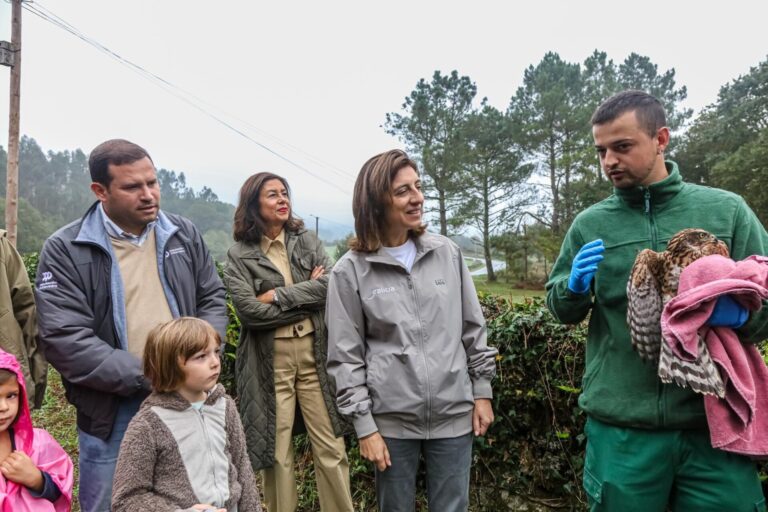 Los Centros de Recuperación de Fauna Silvestre de Galicia atendieron más de 2.900 ejemplares de aves este año