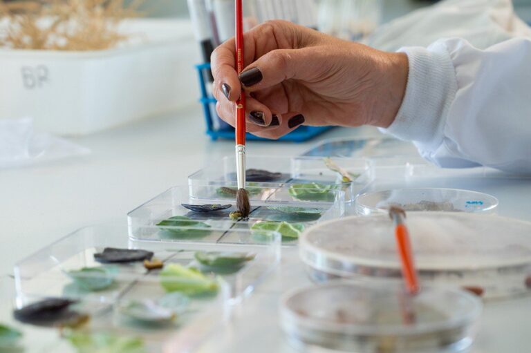 El CSIC incrementa su plantilla de científicos titulares con tres incorporaciones en Santiago y Vigo