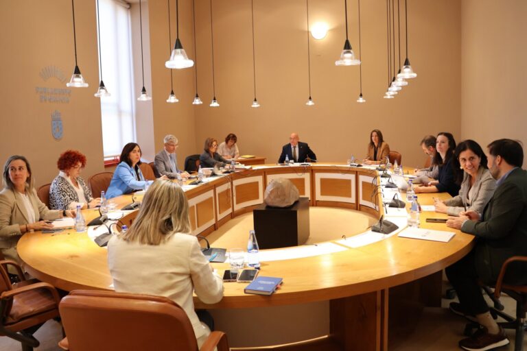 (AV)El caso de la vivienda para mayores de Amoeiro y las desigualdades sociales centrarán las preguntas a Rueda en pleno