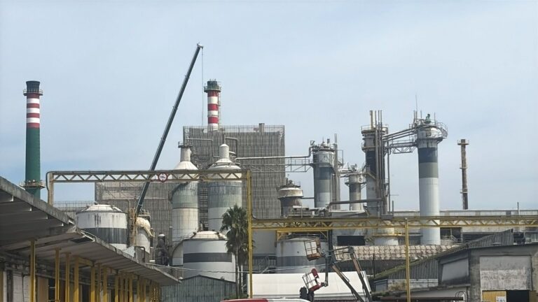 Trabajadores de ENCE Pontevedra se concentran contra un «plan de recortes» y acusan a la empresa de desmantelar derechos