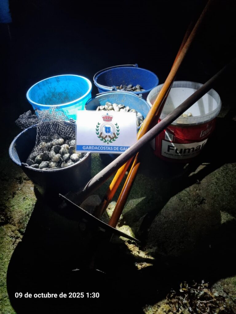 Pesca.- Decomisan más de 30 kilos de almeja babosa en la ría de Ferrol en un operativo contra el furtivismo