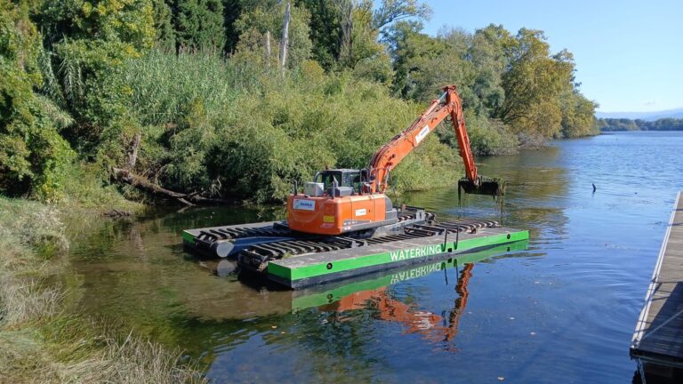 La Xunta lanza un proyecto piloto para retirar especies exóticas invasoras en el río Miño, en Tui (Pontevedra)
