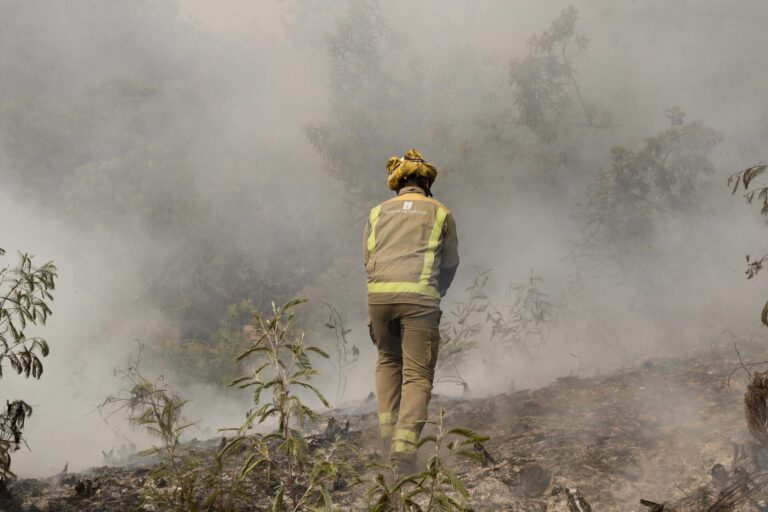 Controlado el incendio de A Gudiña (Ourense) tras calcinar unas 60 hectáreas