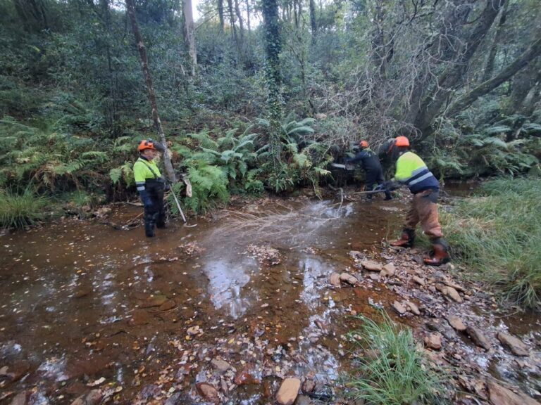 La Xunta realiza labores de conservación fluvial en cerca de 1,5 kilómetros en los ríos Eume y Chamoselo