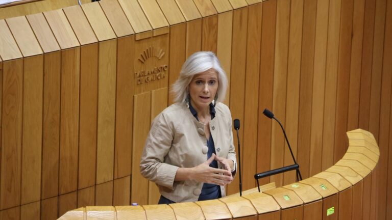 El PSdeG pide garantías ambientales en proyectos industriales estratégicos y el PP lo acusa de «demagogia»