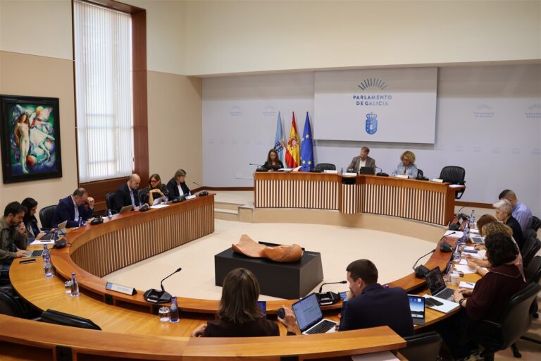 El Parlamento insta a la Xunta a reclamar al Gobierno que permita recibir y remitir documentos oficiales en gallego