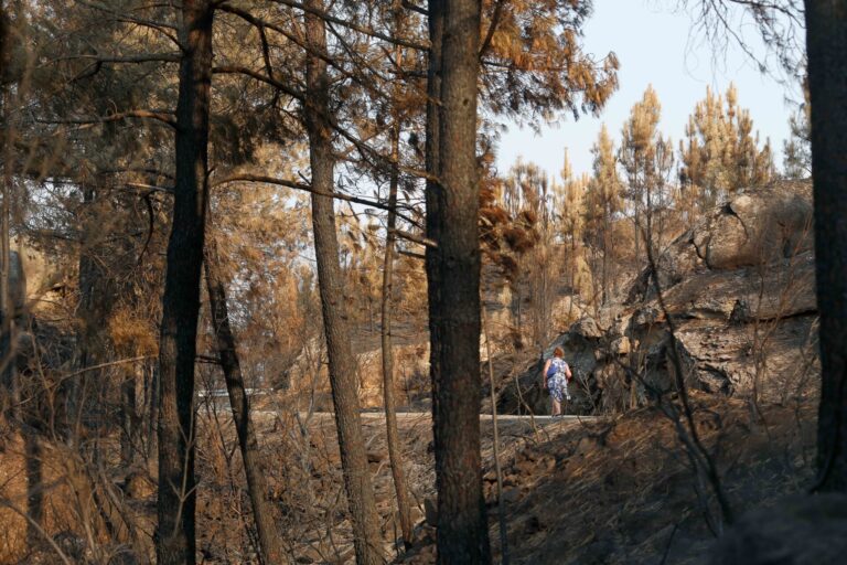 Rural.- La Consellería duplicará en 2026 su presupuesto para agilizar la gestión de biomasa y prevenir incendios