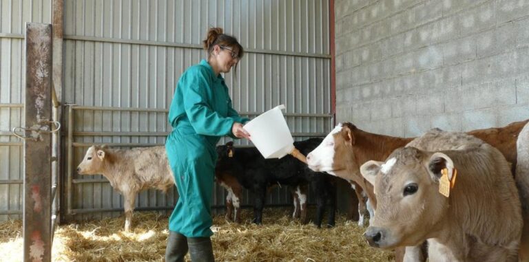Rural.- Asociaciones gallegas de mujeres rurales piden avances en Europa contra la brecha salarial y otras dificultades