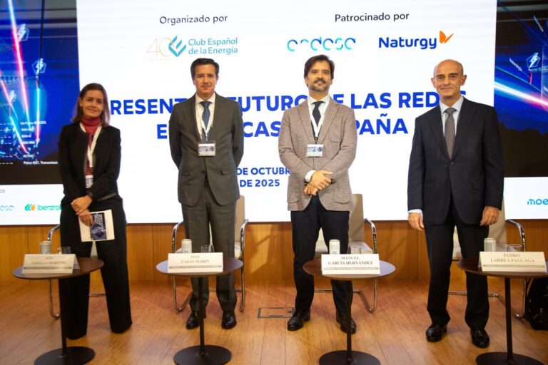Economía.- Naturgy y Endesa piden una regulación que «acompañe y dé las señales adecuadas» para incentivar las redes