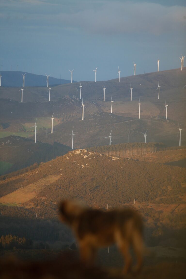 La Xunta cambia la Ley del Protección del Paisaje para «dar prioridad» a parques eólicos