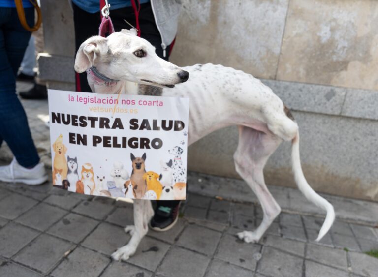 Veterinarios llaman a manifestarse frente a Agricultura el 18 de noviembre para exigir una legislación que les «respete»