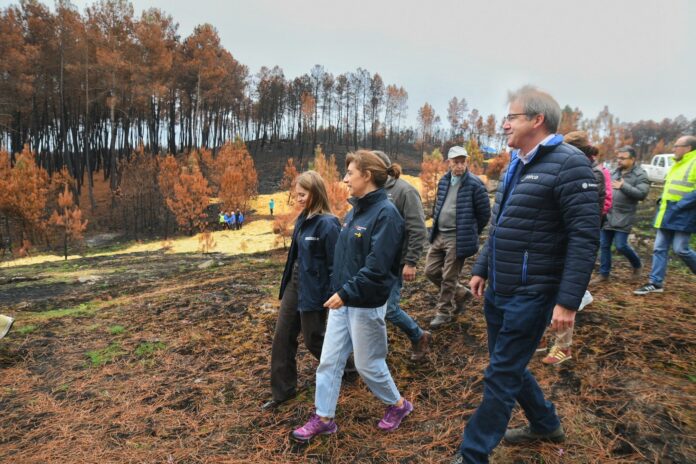La conselleira de Medio Ambiente, Ángeles Vázquez, en Cualedro (Ourense), a 25 de octubre de 2025.. XUNTA DE GALICIA