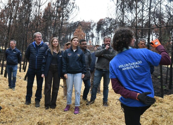 La conselleira de Medio Ambiente, Ángeles Vázquez, visita una acción de voluntariado en Cualedro (Ourense), a 25 de octubre de 2025.. XUNTA DE GALICIA