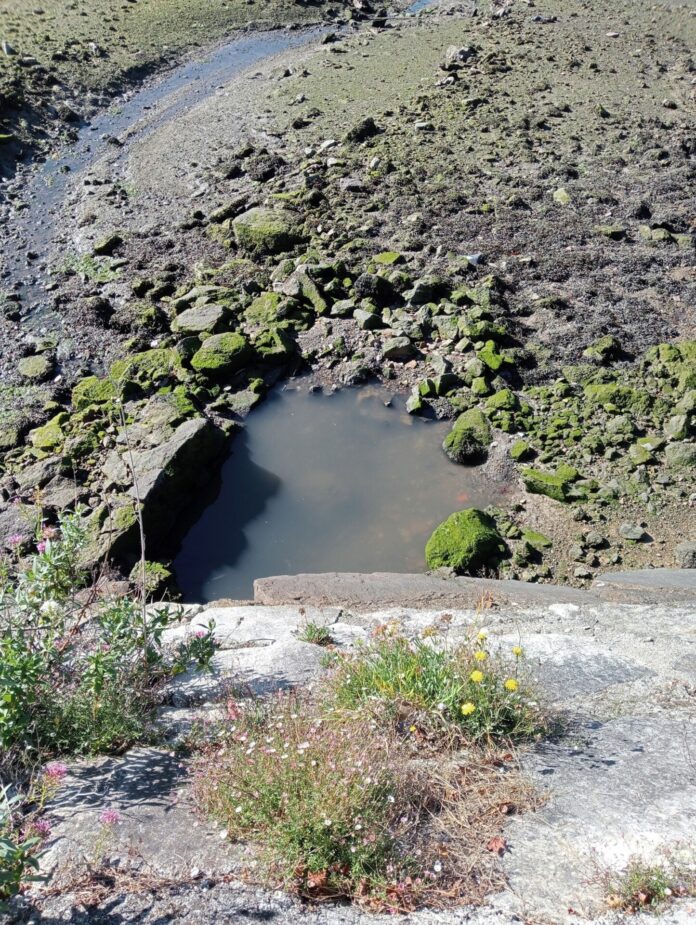 Vertido de aguas residuales en la ría de O Burgo. ARCO IRIS