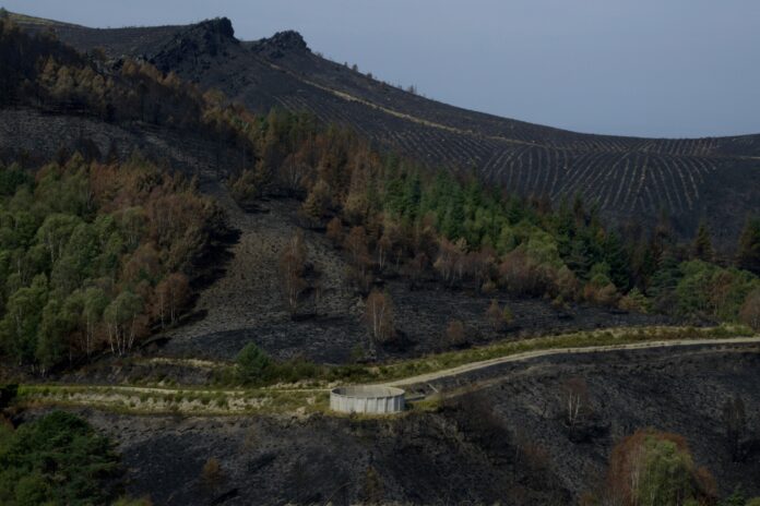 Archivo - Zonas afectadas por los incendios en la provincia de Ourense. Rosa Veiga - Europa Press - Archivo