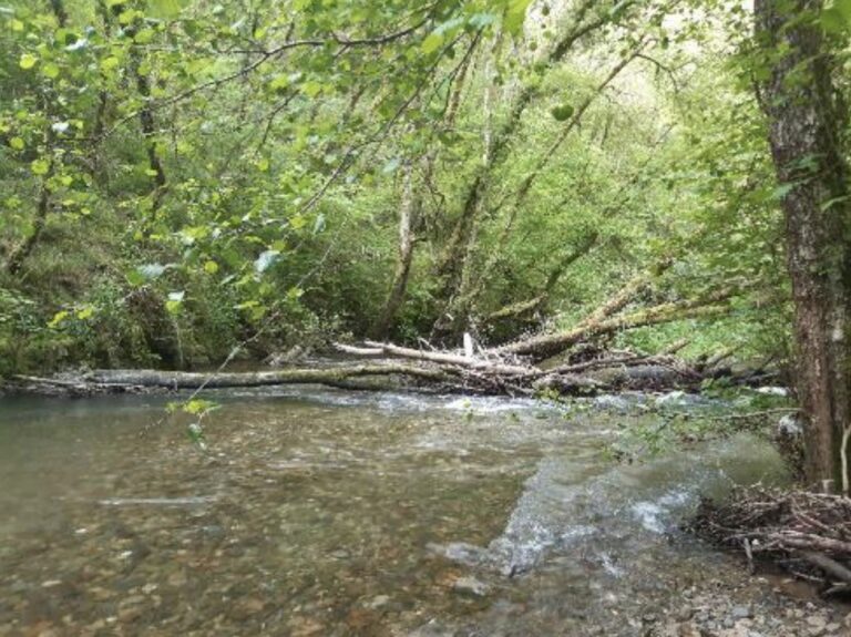 La Confederación Hidrográfica del Cantábrico mejora la capacidad de desagüe del río Navia en Becerreá (Lugo)