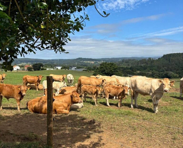 Investigadores alertan de «desmantelamiento» del Centro de Investigacións Agrarias con la marcha de seis profesionales