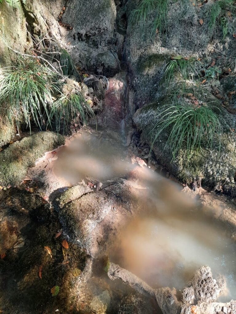 Ecoloxistas en Acción alerta de graves impactos en la salud pública por aguas residuales en el río Oitavén (Pontevedra)