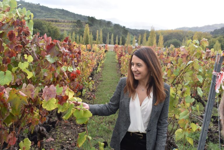 Rural.- La Xunta destaca la labor de la Evega de Leiro en la preservación y registro del patrimonio genético vitícola