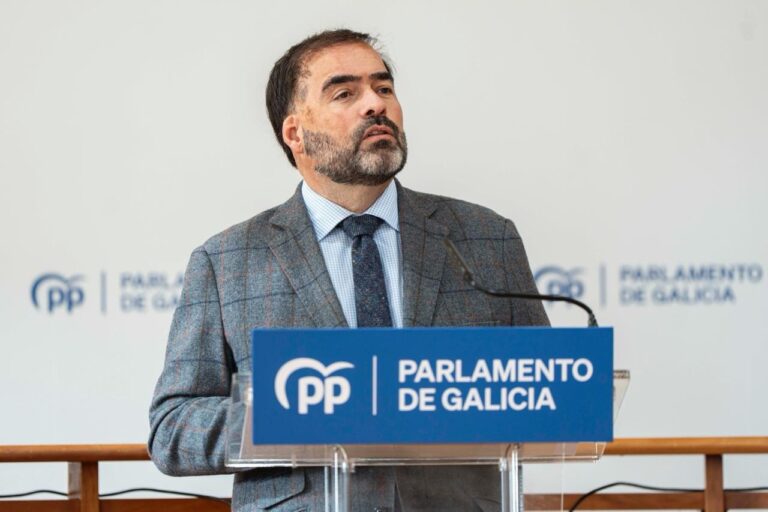 El PP acusa al TSXG de una «ofensiva» contra el eólico gallego: «Son ganas de enredar»