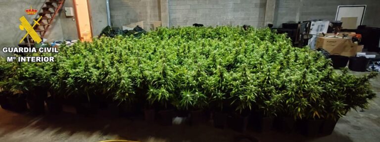 Un operativo antidroga en el entorno de Santiago se salda con 6 detenidos y más de 1.500 plantas de cannabis incautadas