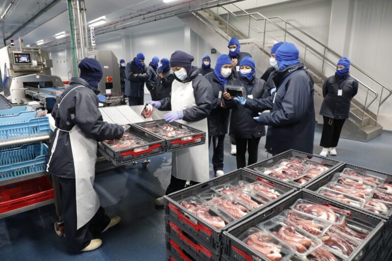 Pesca.- El Gobierno gallego aumenta hasta los 17 millones el presupuesto para la industria transformadora