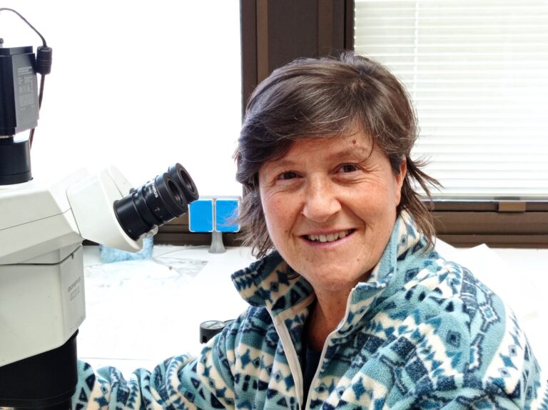 Expertos advierten que «buena parte» de los problemas sanitarios forestales se deben al comercio internacional