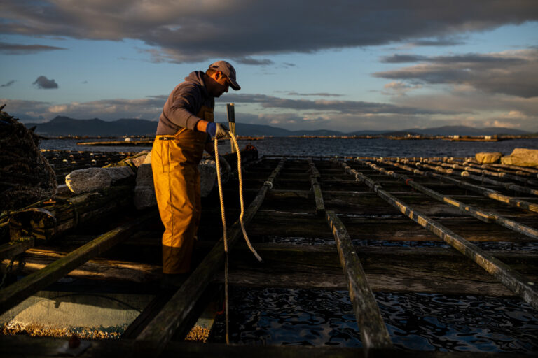 La presencia de toxinas obliga a cerrar los bancos marisqueros de la ría de Pontevedra y zonas de Arousa