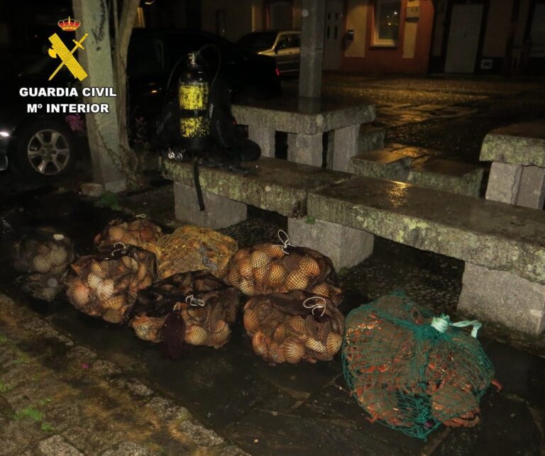 Incautados 175 kilos de vieiras y 25 de centollas en Mugardos (A Coruña)