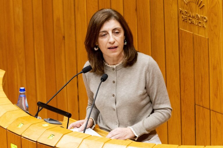 Pleno.- La Xunta dice que «hay que tomar medidas» contra la «sinrazón» del TSXG en proyectos eólicos