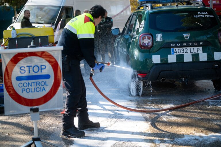 Rural.- La Comisión Europea limita a 91 municipios catalanes el área de exclusión por la peste porcina africana