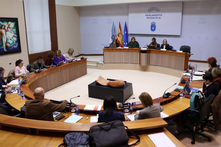 El Parlamento de Galicia pide al Gobierno eliminar la cita previa en el Servicio Público de Empleo